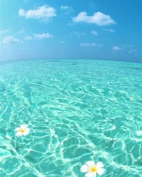 Beach Bag Essentials: Skincare Products You Shouldn’t Leave Home Without