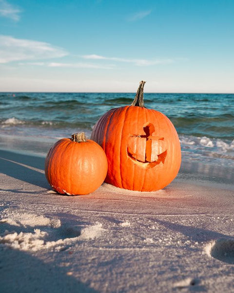 Embrace Fall with Coco Skin Therapy’s New Coconut-Infused Scents! 🌰🍂