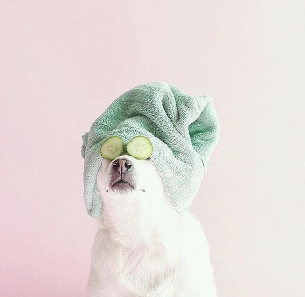 Why Skin Hydration Matters More Than Ever in November